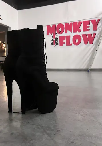 Monkey Flow Studio Pole Dance i Aerial Hoop Dorota Grotkowska